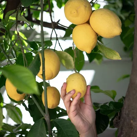 Hotel Ikion Eco Boutique 3*