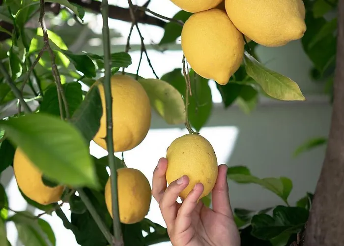 Hotel Ikion Eco Boutique 3*