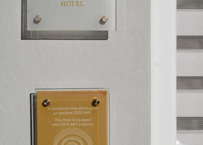 Ikion Eco Boutique Hotel 3*